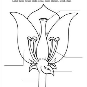 Meet your Posher, George